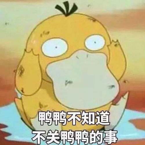 表情包 看我颜色行事