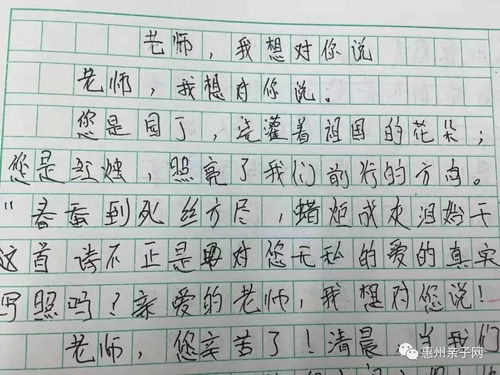 我的新老师作文(我的新老师作文)