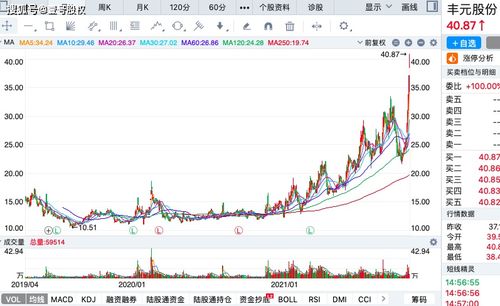 哪只股票10年间最大涨幅是多少?