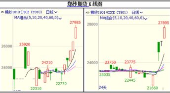 棉价震荡上行，下游纱价涨幅不足