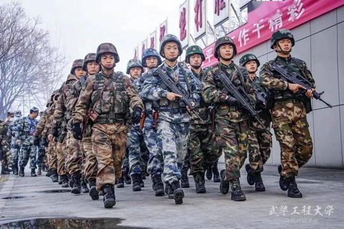 武警最好的三所军校，中国武警学院有哪些