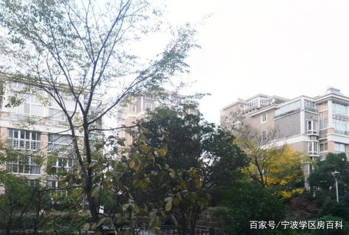 2021年宁波锦江花园小区对口的小学是哪所,初中是哪所