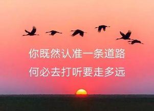 励志包容;天空那么大一定可以包容文案？