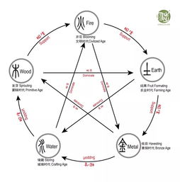 周末探店 生活用了几步,摆上五行来看看