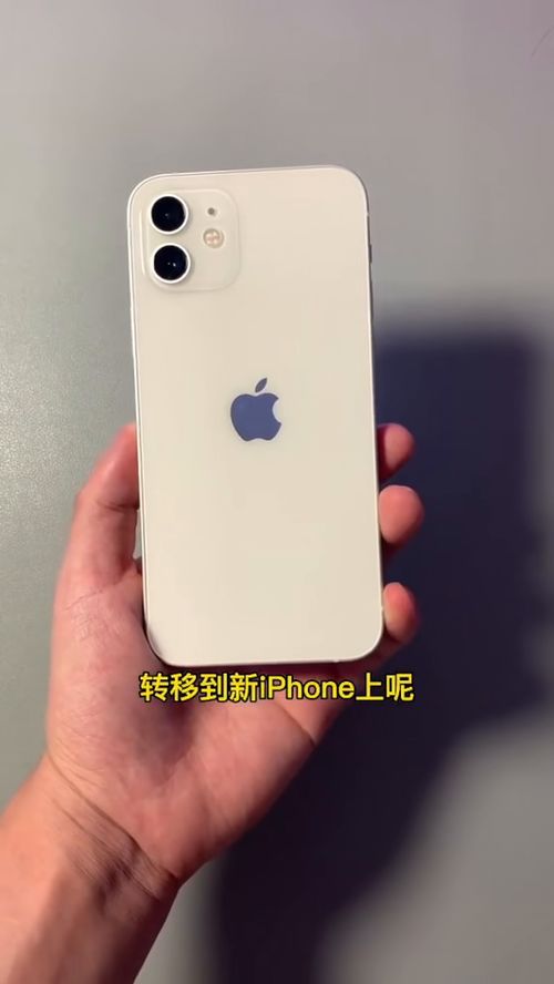 旧手机资料转移到新手机的方法也很简单嘛 iPhone 数码 苹果手机 