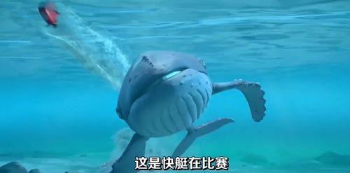 BBC最佳动画短片 一场小海螺的旅行告诉我们,请让孩子勇敢走出去