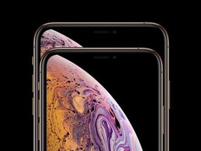 苹果iPhone XS最新新闻动态 手机中国第19页 