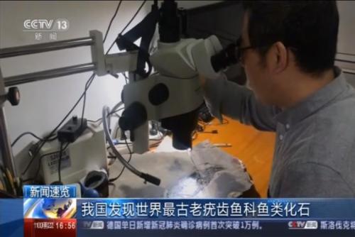 中国发现世界最古老疣齿鱼科鱼类化石