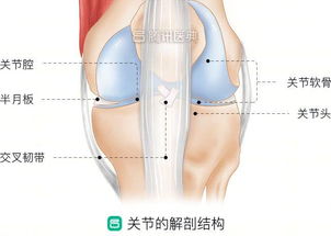 长期掰手指和从不掰的人,谁的关节更健康 答案让人意外