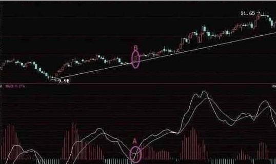 在股票市场中，使用技术分析的成功率不会太高，为什么