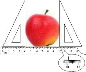 水果表皮面积怎么测量(水果怎么量尺寸)