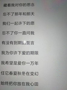 我为青春许下爱的诺言,是什么歌 