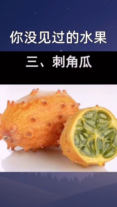 你没见过的水果 