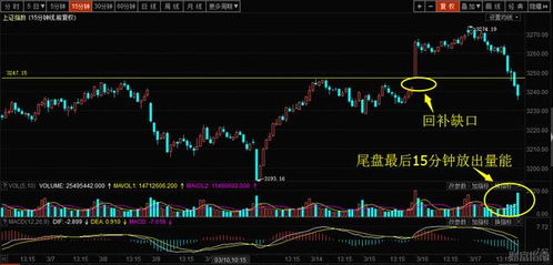 上涨趋势确定，两个涨停板后乌云盖顶