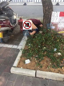 惊 广西北海一男子在路边拉屎,拉到一半竟睡着了 警察来后 