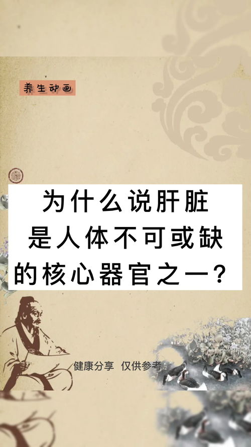 为什么说肝脏是人体不可或缺的核心器官之一 健康小知识 养生小秘诀 