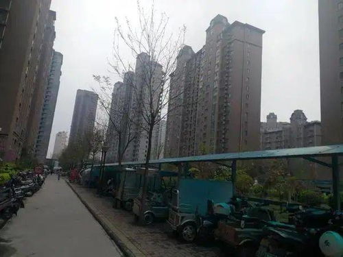 买西藏学区房被坑,收房前开发商破产清算 2020郑州市民消费维权 吉尼斯 出炉