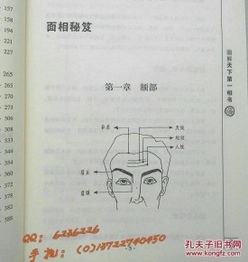 图解天下第一相书 李铁笔 手相面相学面相秘笈 痣相大全风水书