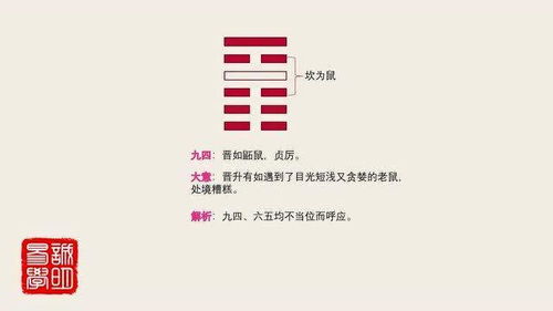 诚明易学 易经卦爻辞详解 晋卦九四 晋如鼫鼠,贞厉 