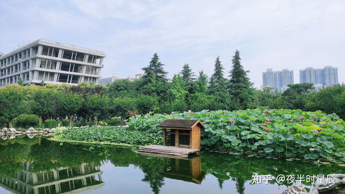 西安工业大学怎么样 建不建议今年的考生报考 