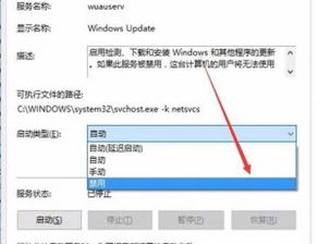 win10电脑知识入门