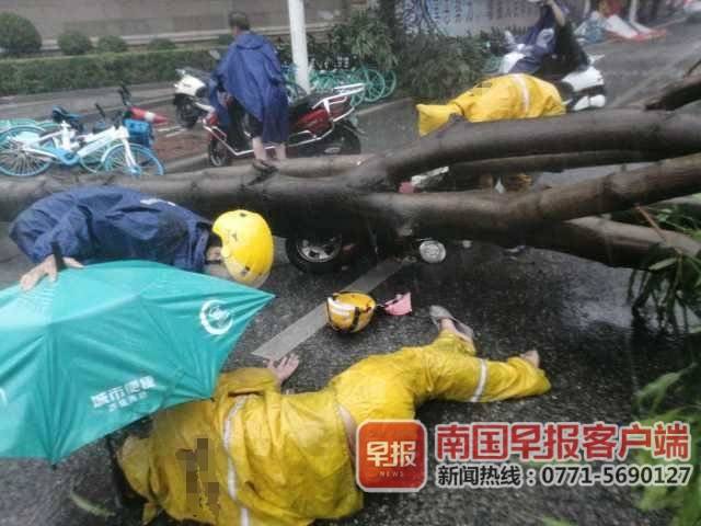 狂风暴雨中,南宁一外卖小哥被大树砸中 路人合力施救 