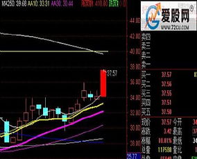 通达信可否预警委托自动买入