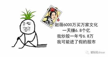 最近股票市场回暖，我是不是可以进入了呀？