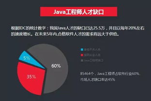 用java开发的毕业论文