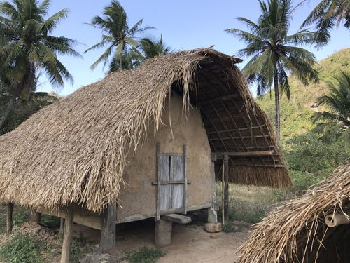 藏在海南的原始村落,人们至今住着茅草房,房型却像翻了的船