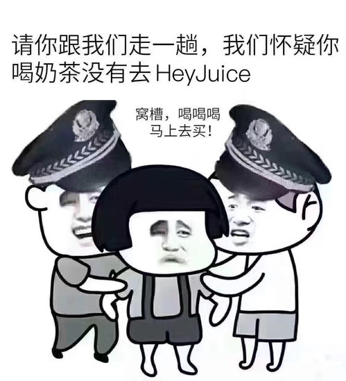 上海网红茶桔便奶茶已开放加盟,胆儿够肥你就来 