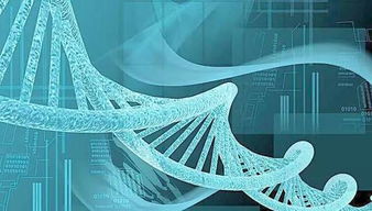 冷知识 博尔特为什么能跑那么快 平常人的体内也藏着洪荒之力