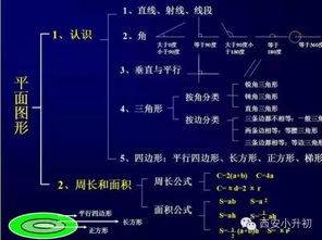 知网查重支付步骤详解：图文并茂，一看就会