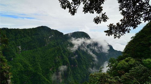 登峨眉山 当爬到山顶时,就被那金光所震撼