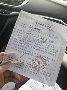 这种违停罚单为什么查不到,这种罚单需要处理吗 