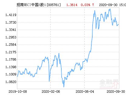 MSCI中国A股国际通指数型基金 什么意思