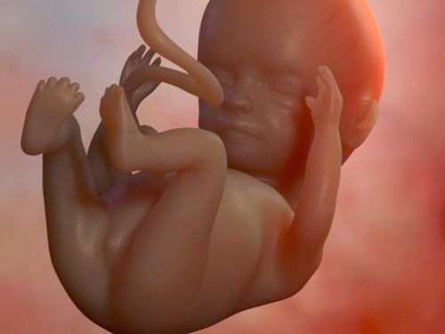 孕期吃什么有助于胎儿大脑发育