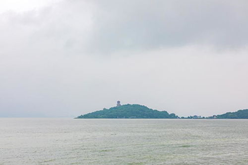 雨中鼋头渚,跟着船娘去采莲吧