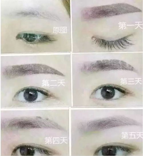 纹眉毛过程(纹眉毛过程中用什么擦色料)