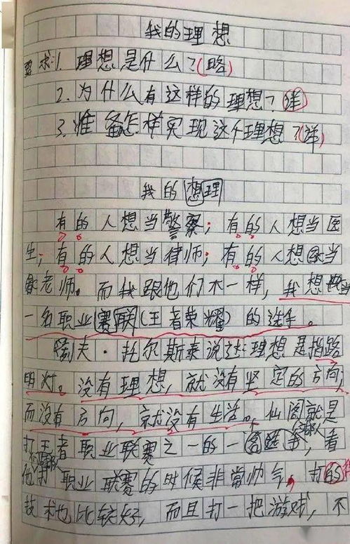 我眼中的虎妞500字作文