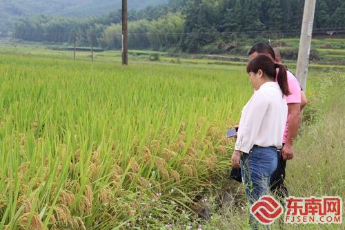 农业生产可 托管 农民增产增收还省时省心