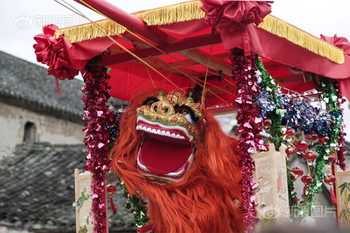 博士返乡 千年古村中国年 逛古祠剪河阳窗花 