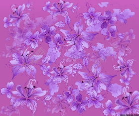 带紫色花纹的扁豆 图片搜索