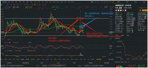 我买了股票002240，今天因为重组停盘了，不知道多久复盘，并且现在价格较高，复盘后我会不会亏的吐血