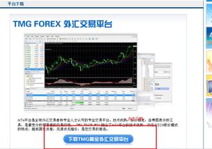 mt4软件怎样下载？