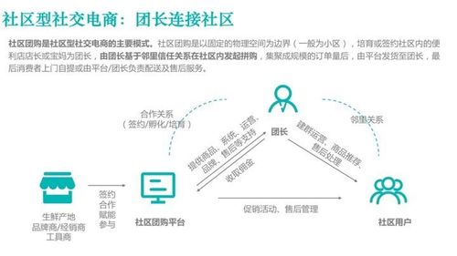欧赛斯产业研究 全方位透视中国社交电商商业模式 行业发展