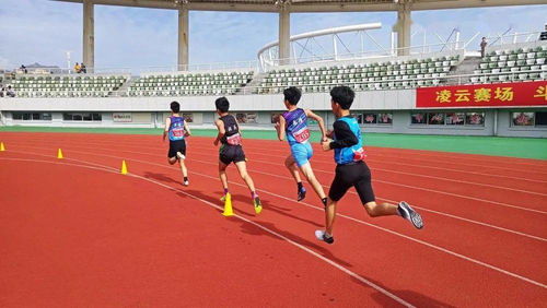 东城小学生田径队训练,东城小学生田径队训练视频