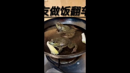 盘点别人老婆做饭翻车现场 