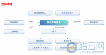 郁泰投资是什么投资公司吗