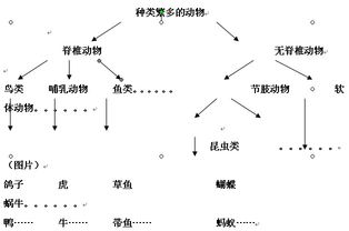 动物分类 搜狗图片搜索